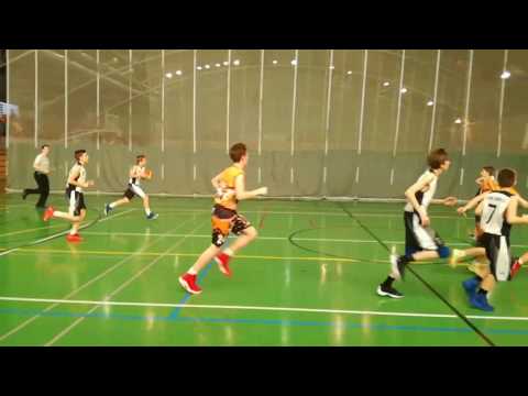 Tygři jbc brno vs bšm brno