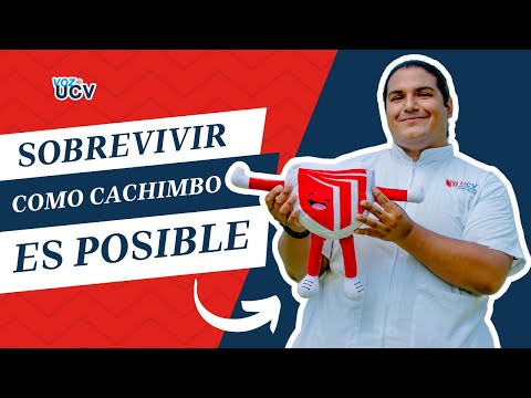 Sobrevive a tu primer ciclo como un pro