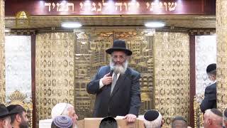שידור חי | הרב ישראל אברג'ל שליט"א