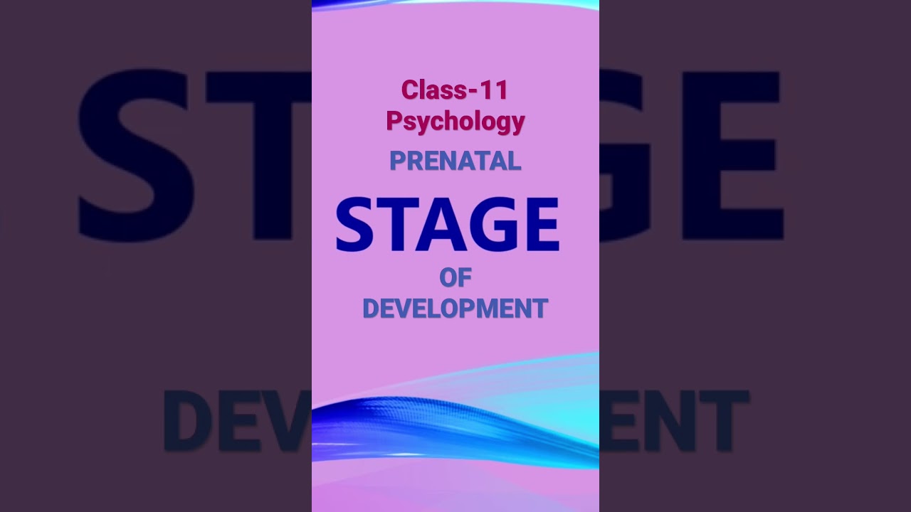 PRENATAL STAGE.@STUDY.PSYCHOLOGY #cbse #ncert #class11 #psychology #shorts #shortvideo #viral