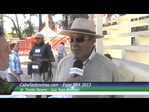 Cabañasbovinas.com - Expo BRA 2013 - Tomás Moreno