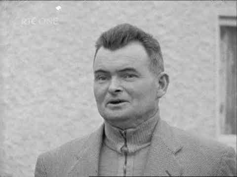 Reeling in the Years 1963