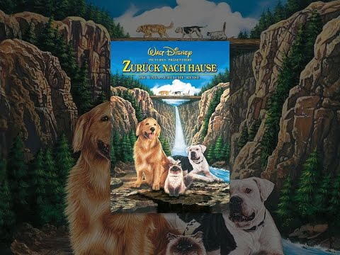 Zurück nach Hause - Die unglaubliche Reise Journey