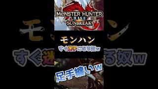 【MHSB】初心者「モンスターどこ？」←野良で迷子になる人ｗ【解説】 #モンハンライズ#ゲーム実況 #vtuber #ゲーム実況 #実況 #モンハン #モンハンサンブレイク