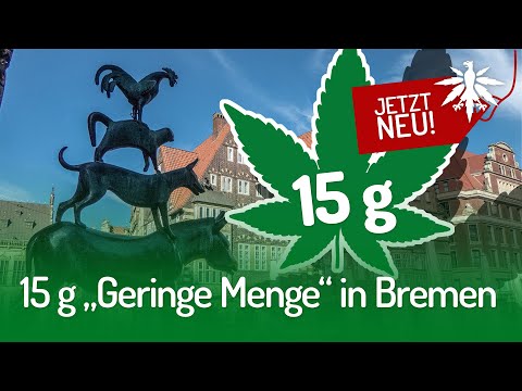 15 Gramm „Geringe Menge“ in Bremen | DHV-News #241
