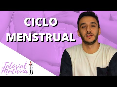 Como funciona o CICLO MENSTRUAL?