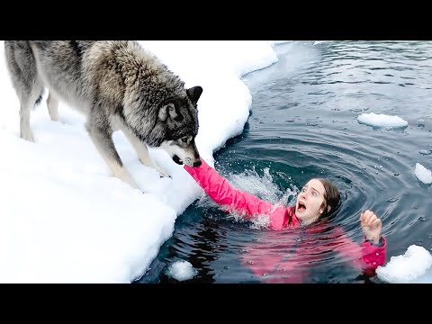 Hero Animals That Saved Human Lives !