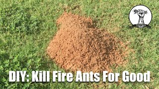 DIY: Kill Fire Ants For Good!