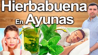 Hierbabuena Para Todo! - Para Qué Sirve - Beneficios De La Hierba Buena Para Tu Salud