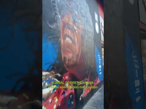 Mural de La Mona: La Rioja y Avellaneda, Córdoba Capital