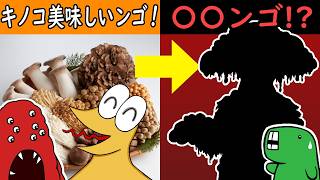【むくの目玉】無人島に流れ着いた若者たちを襲う空腹と…世にも恐ろしいキノコの化け物っ…！？（映画「マタンゴ」ネタバレ）【さっくりクリーチャー解説】