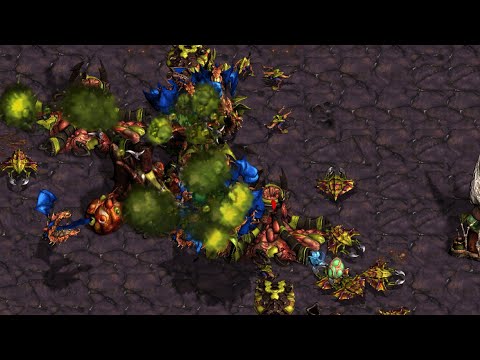 🔥Laddernet 2025.12 Queen vs Shine ZvZ @ Roaring Current | Starcraft Commentary
