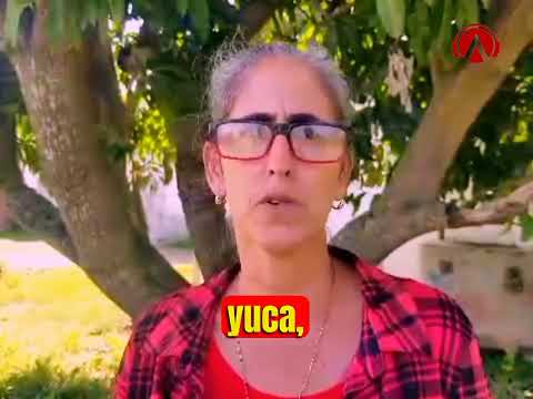  Incrementa CPA Camilo Cienfuegos  producción de alimentos en Bahía Honda.