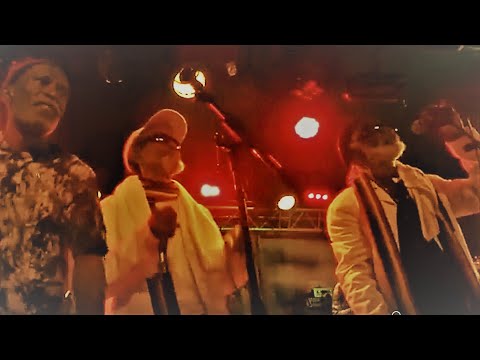 The Viceroys - Live @ New Morning, Paris 2015