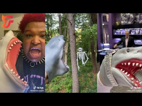 Funny The Shark Puppet Tik Tok Videos Compilation 2021