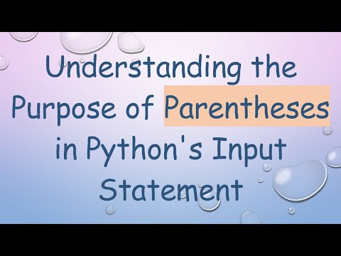 Understanding the Purpose of Parentheses in Python's Input Statement