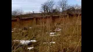 preview picture of video 'Cmentarz żydowski w Koronowie - Jewish cemetery in Koronowo'