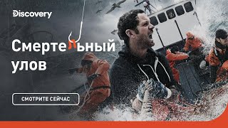 Дискавери ловля сетками аляска