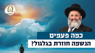 כמה פעמים הנשמה חוזרת בגלגול? | רגע של אור עם מו"ר הרב ישראל אברג'ל שליט"א