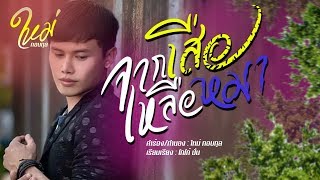 จากเสือเหลือหมา – ใหม่ กอบกุล