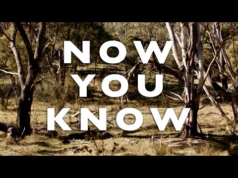 Tom Rosenthal - Now You Know (Lyric Video)
