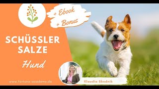 Schüßler Salze Therapie Hund - ⭐️Dein Online Kurs⭐️