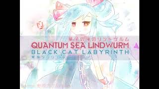 Cover art for Black Cat Labyrinth