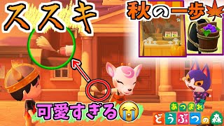 【#1】夏終わり、秋へ【あつまれどうぶつの森】