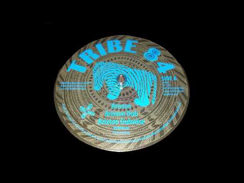 TRIBE84 - TEF12001 - Violinbwoy - Brixton + Dub + Dubwise (12")
