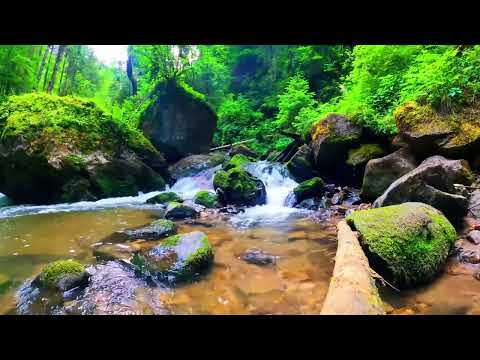 4K Fresh Waterfall - Natural White Noise Sounds - Flowing Water - 10 Hours - Relaxation/ Sleep Video
