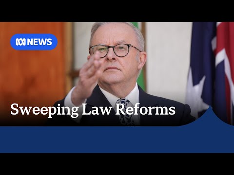 New details on Labor's sweeping hate speech and gun laws unveiled | ABC NEWS