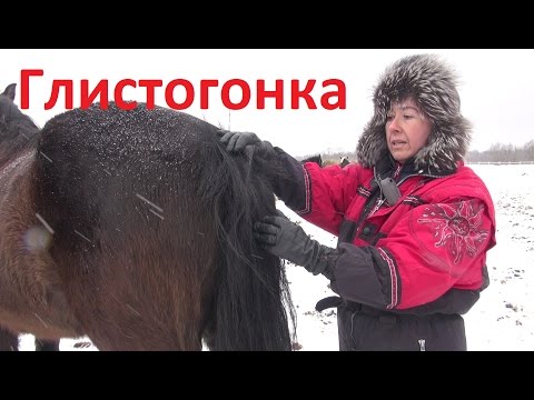 Осложнение на суставы после орви у взрослых Питание при коксартрозе тазобедренного сустава