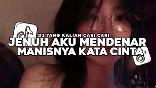 Download lagu DJ JENUH AKU MENDENGAR MANISNYA KATA CINTA | DJ BINTANG KEHIDUPAN NIKE ARDILA VIRAL TIK TOK mp3