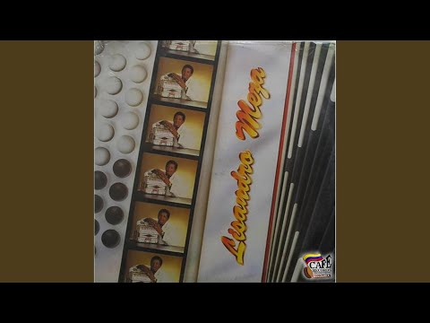 Un Poquito De Carino - Lisandro Meza