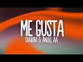 Shakira amp Anuel AA Me Gusta Letra Lyri Shakira amp Anuel AA Me Gusta Letra Lyri