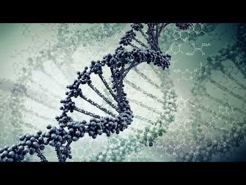 Anturage, Alexey Union, Jon.K - Never Stop (Original Mix)