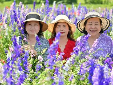 Lub Neej Zoo Li Dej Ntws by Paj Muas Vwj