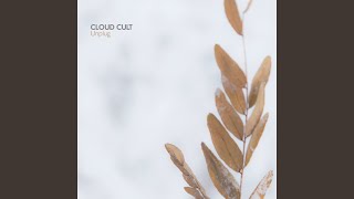 Chemicals Collide (Live)