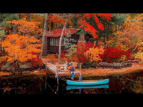Cozy Cabin Autumn Escape with my Dog