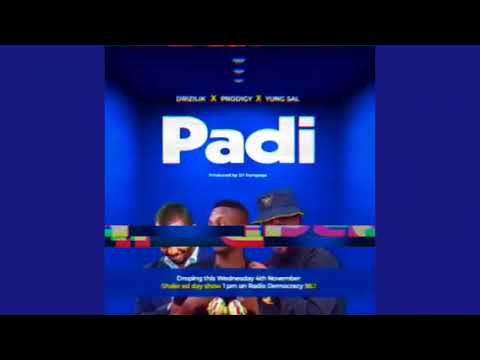 Drizilik Ft Young Sal & Prodigy Padi (Official audio)