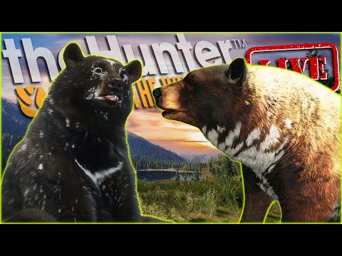 I FIXED THE BLACK BEAR GRIND! Lets Get Our 69th Great One! Call of the wild