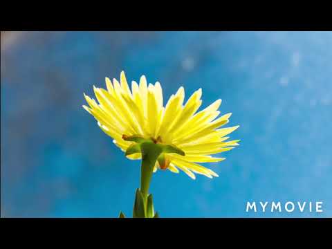 Munesh Kumar natural must beautiful