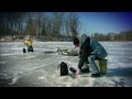 Big Bluegills On Soft Plastics 