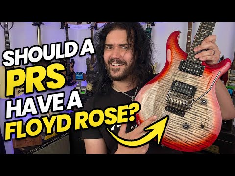 PRS SE Floyd Custom 24 - includes Schaller Lockmeister Upgrade image 21