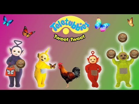 Teletubbies: Tweet Tweet (DVD)