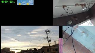 【ツバメさんSwallow】20230802電線空配信´・ω・｀)Wild birds