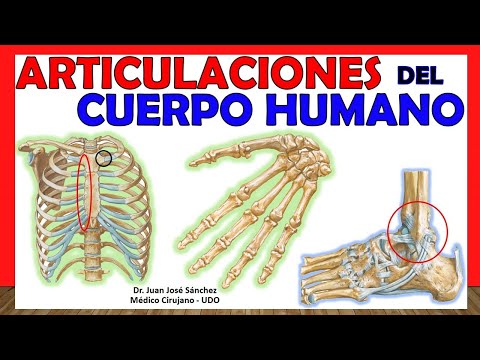 🥇 JOINTS OF THE HUMAN BODY IN 17 minutes! - Summary