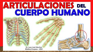 🥇 JOINTS OF THE HUMAN BODY IN 17 minutes! - Summary