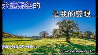 戀曲1990 Lian qu 1990 - karaoke