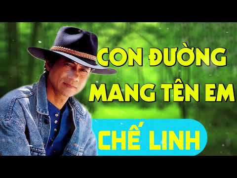 Con Đường Mang Tên Em - Chế Linh | Nhạc Vàng Xưa Hay Nhất (Trước 1975)
